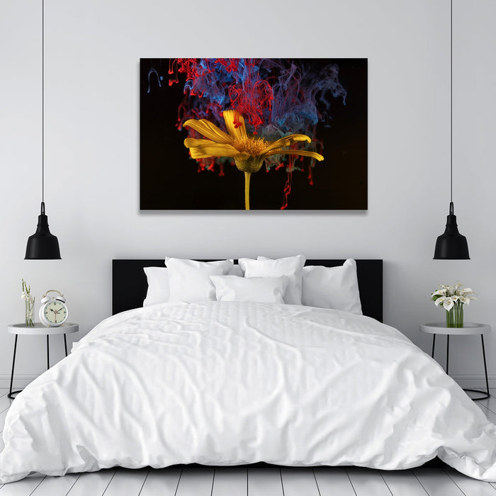 Abstract Flowers, Photography