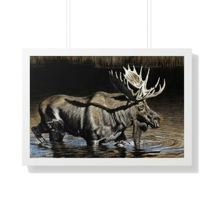 30" x 20" / White