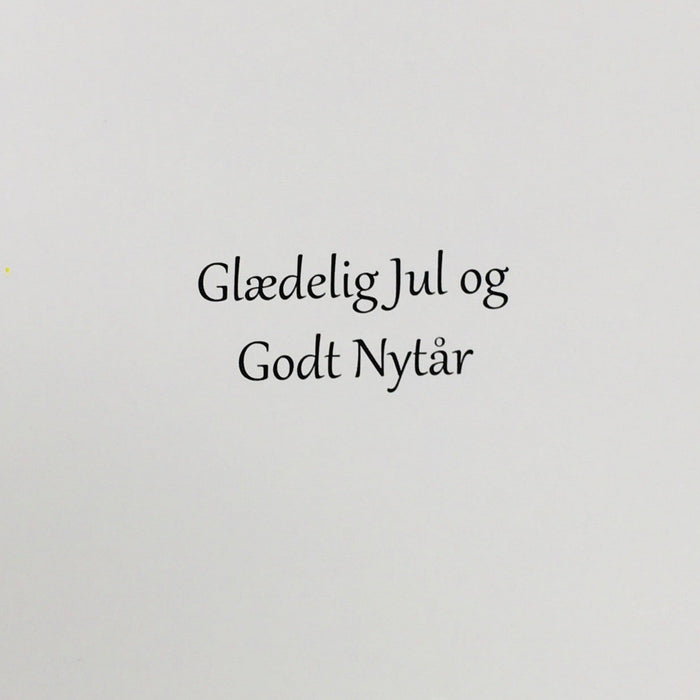 Danish text