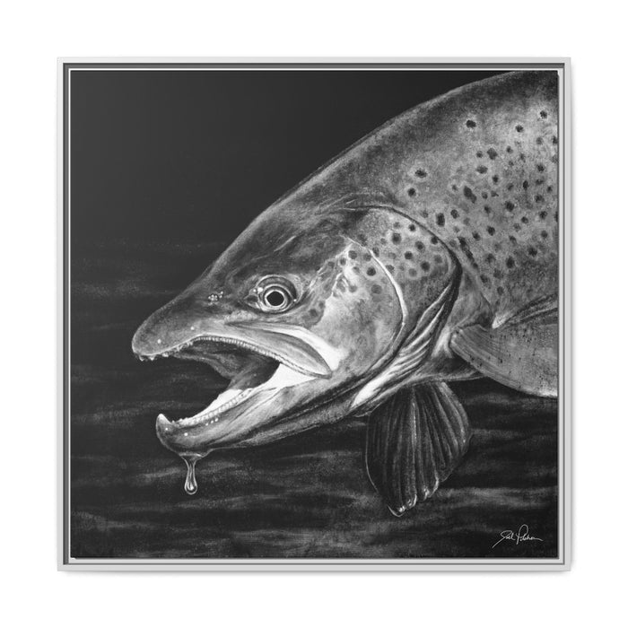 36″ x 36″ / White / 1.25"