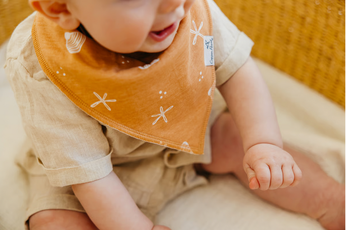 CP Bandana Bib Boy Cove