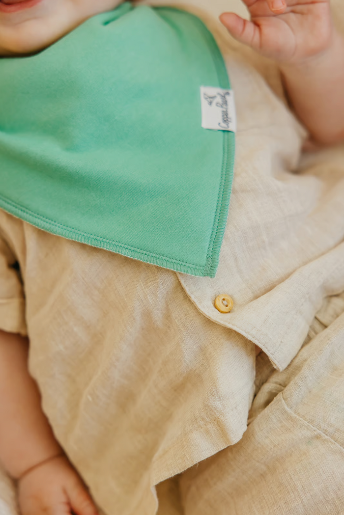CP Bandana Bib Boy Veggies