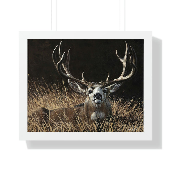 20" x 16" / White