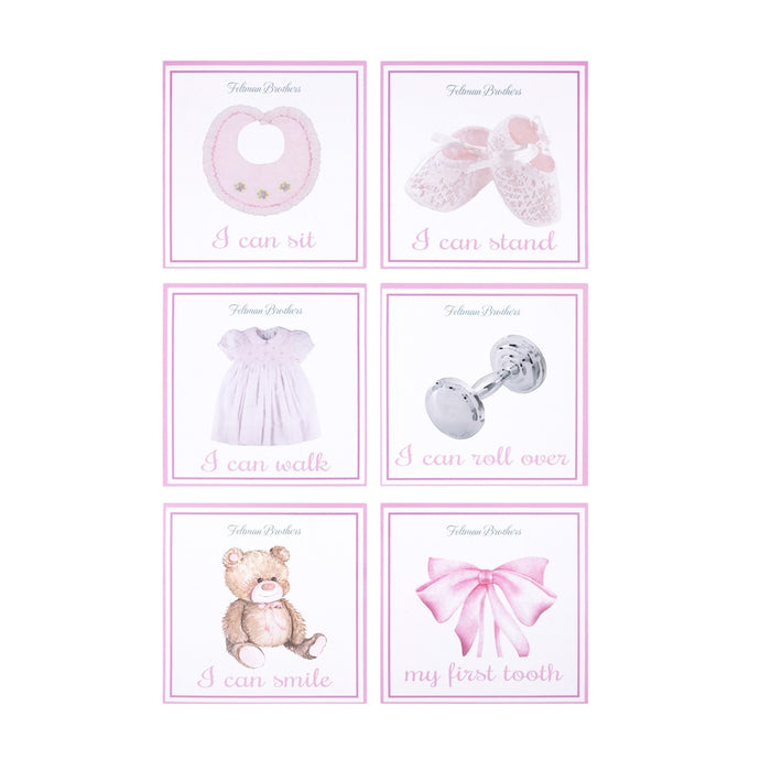 Feltman Monthly Milestone Cards Pink