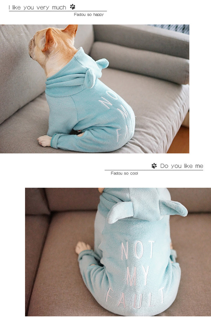 Teddy Hoodie