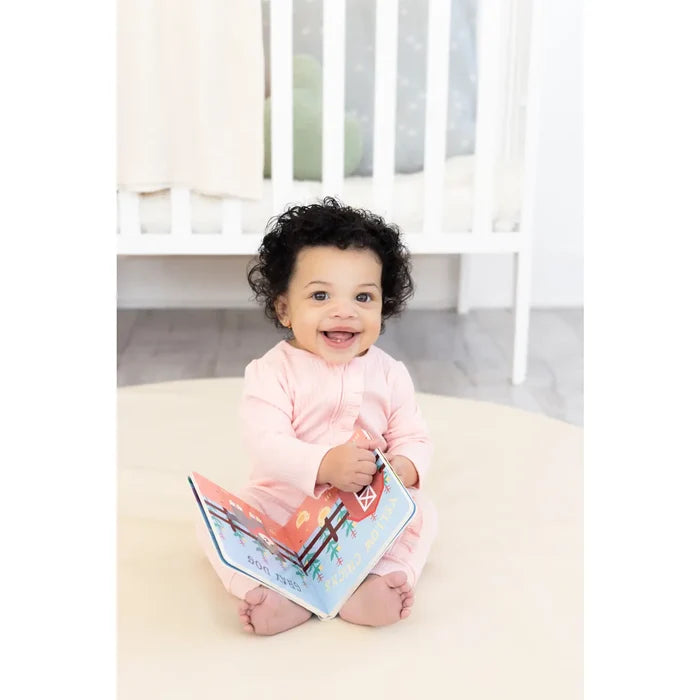 6-12 Months Learning Kit, Montessori Developmental Toys