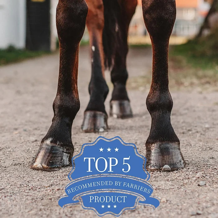 Absorbine Magic Cushion Hoof Packing