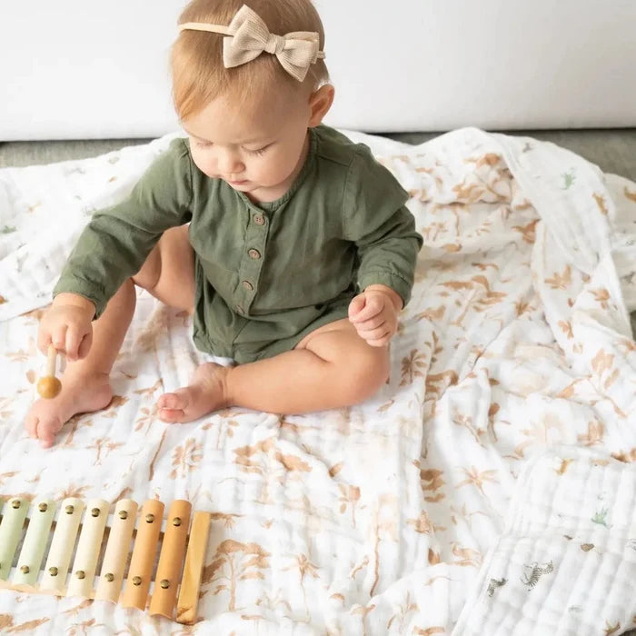 Aden+Anais Dream Blanket