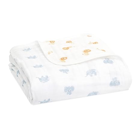 Aden+Anais Dream Blanket