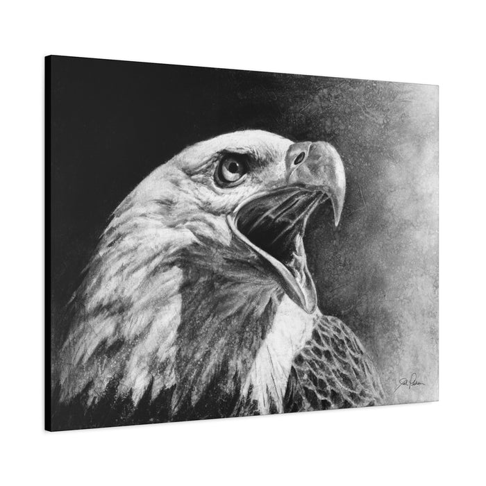 "Bald Eagle" Stretched Canvas