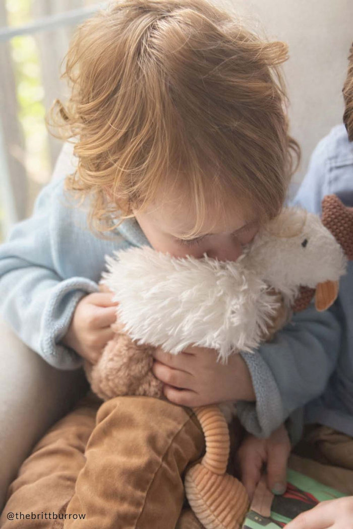 Barnyard Hen Plush