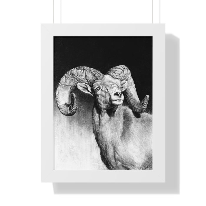"Bighorn" Framed Paper Print