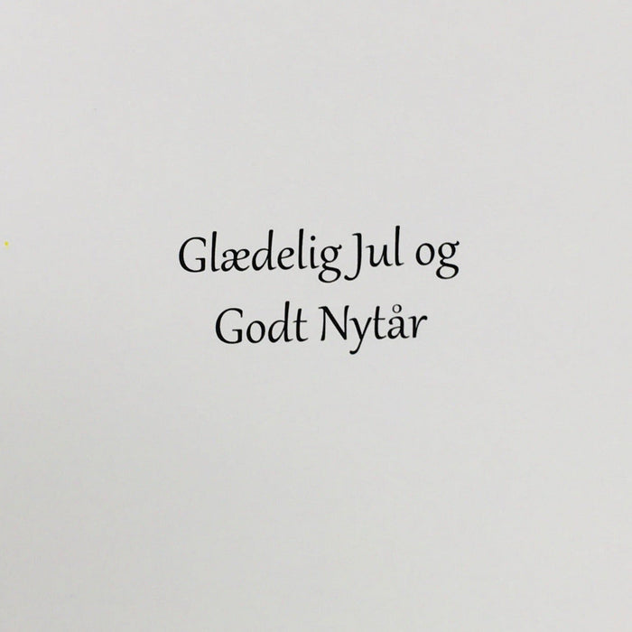 Danish text