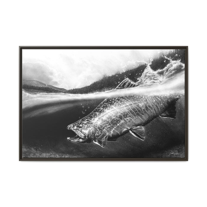 "Brook Trout" Framed Canvas