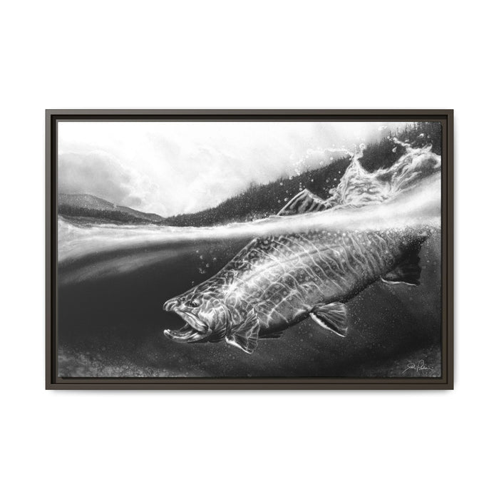 "Brook Trout" Framed Canvas