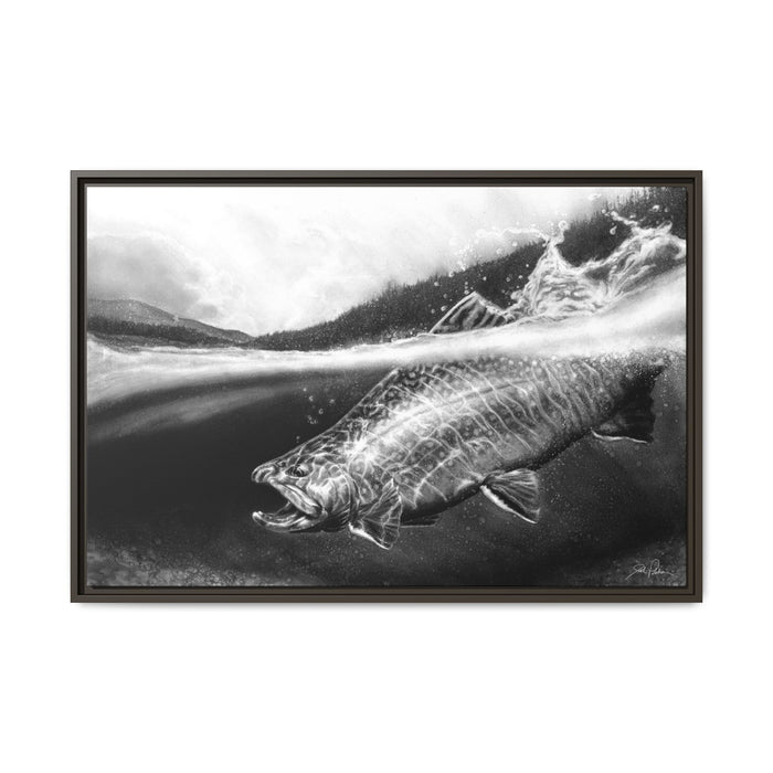 "Brook Trout" Framed Canvas