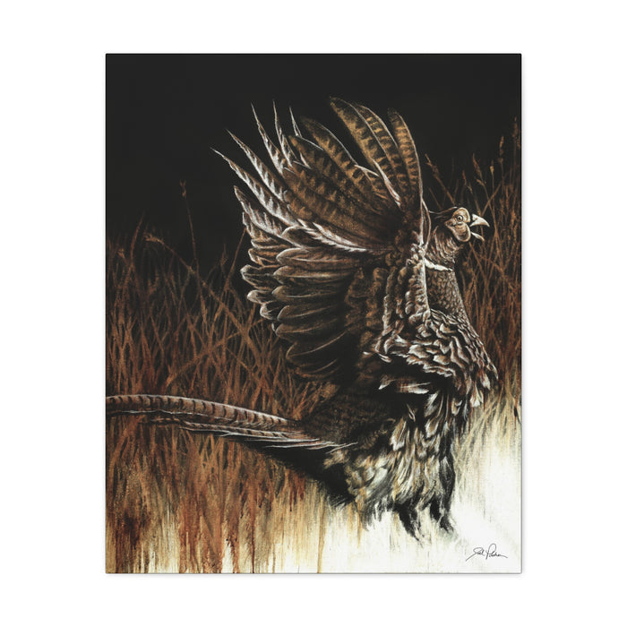 "Call of the Upland Pheasant" Stretched Canvas
