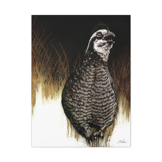 "Call of the Upland Quail" Stretched Canvas