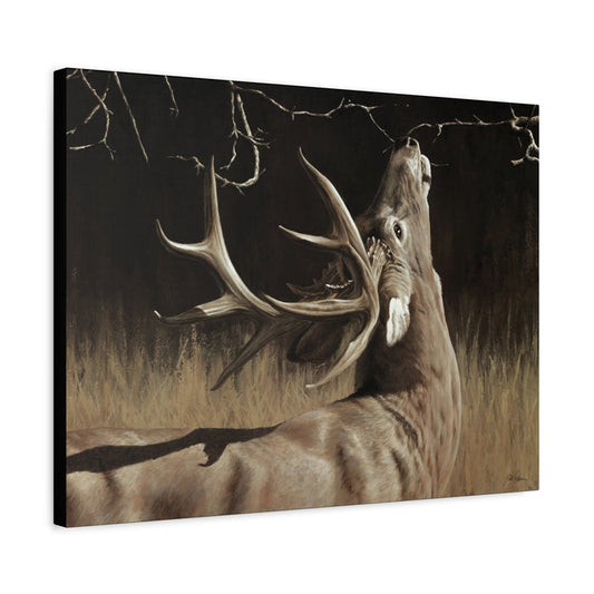 "Calling Card" Stretched Canvas
