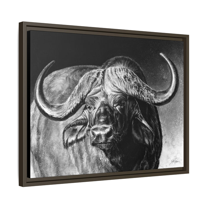 "Cape Buffalo" Framed Canvas