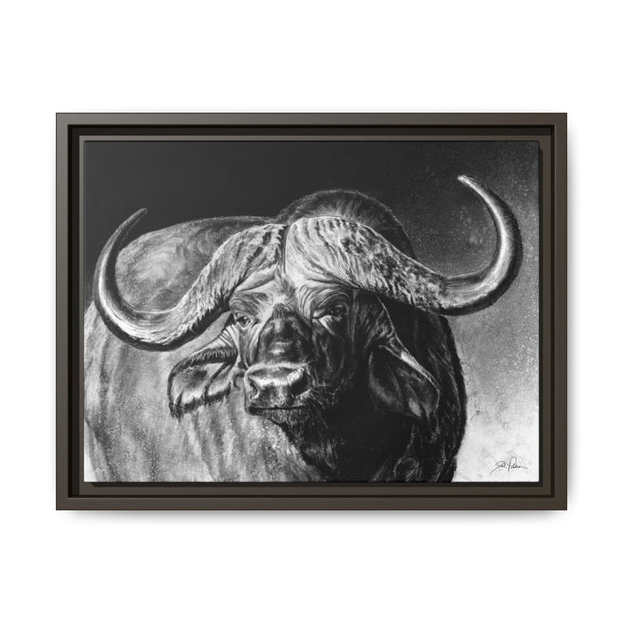 "Cape Buffalo" Framed Canvas