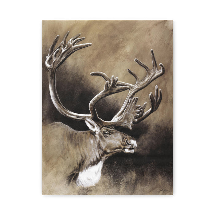 "Caribou" Stretched Canvas