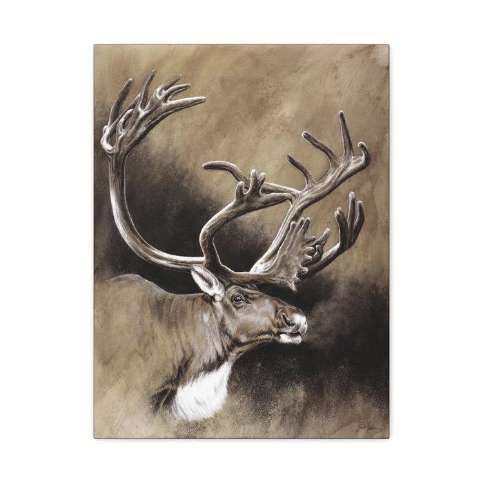 "Caribou" Stretched Canvas