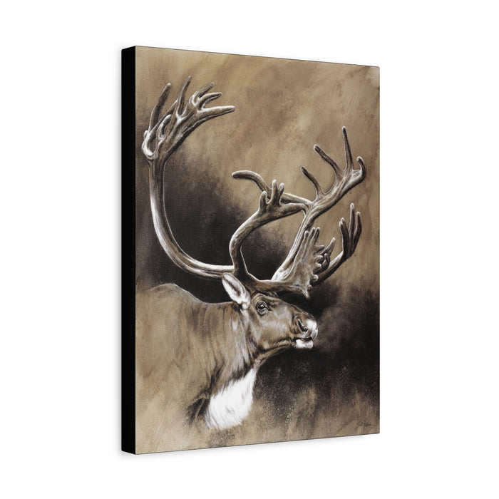 "Caribou" Stretched Canvas