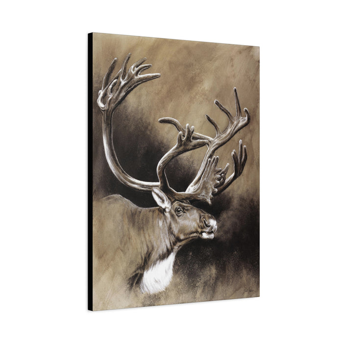 "Caribou" Stretched Canvas
