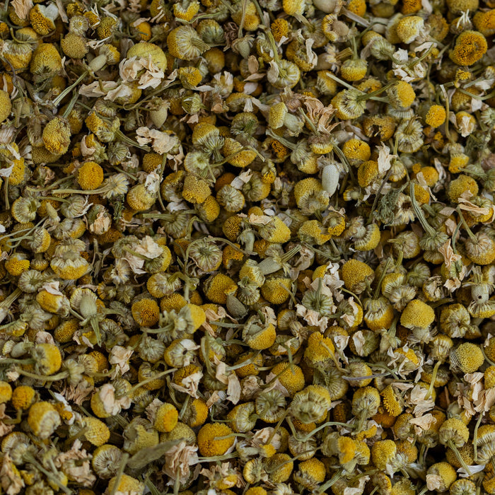 Close-up of dried chamomile flowers with yellow centers and green leaves.