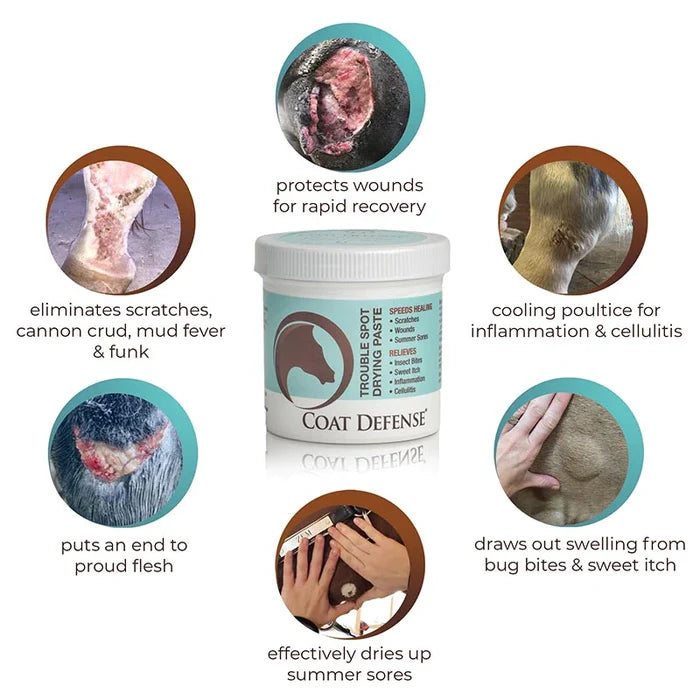 Coat Defense Trouble Spot Drying Paste, 10 oz