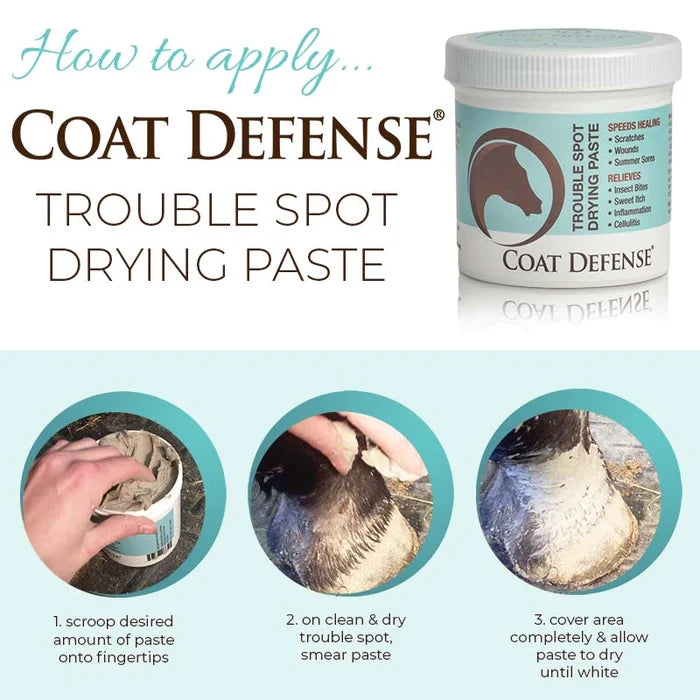 Coat Defense Trouble Spot Drying Paste, 24 oz