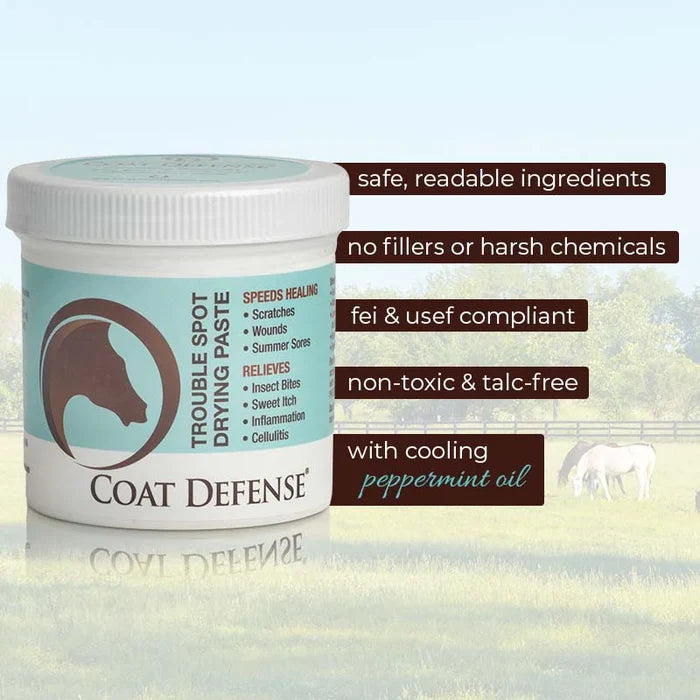 Coat Defense Trouble Spot Drying Paste, 24 oz