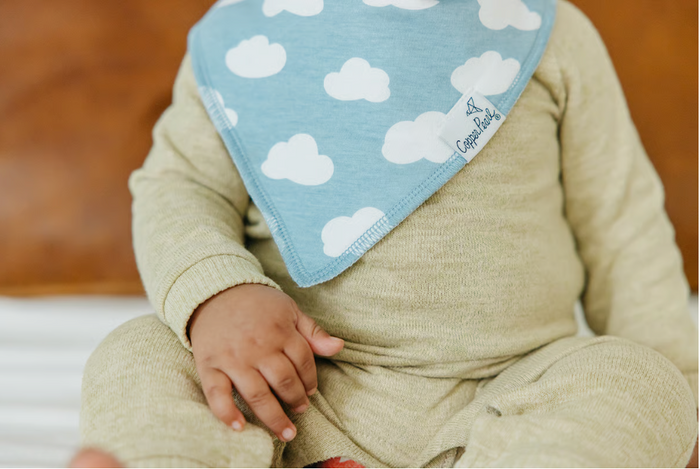 CP Bandana Bib Boy Farmstead
