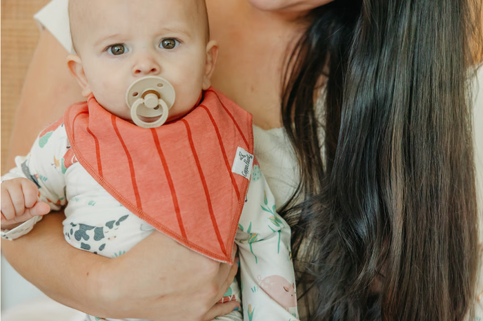 CP Bandana Bib Boy Farmstead