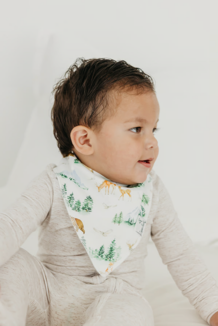 CP Bandana Bib Boy Hundred Acre Wood