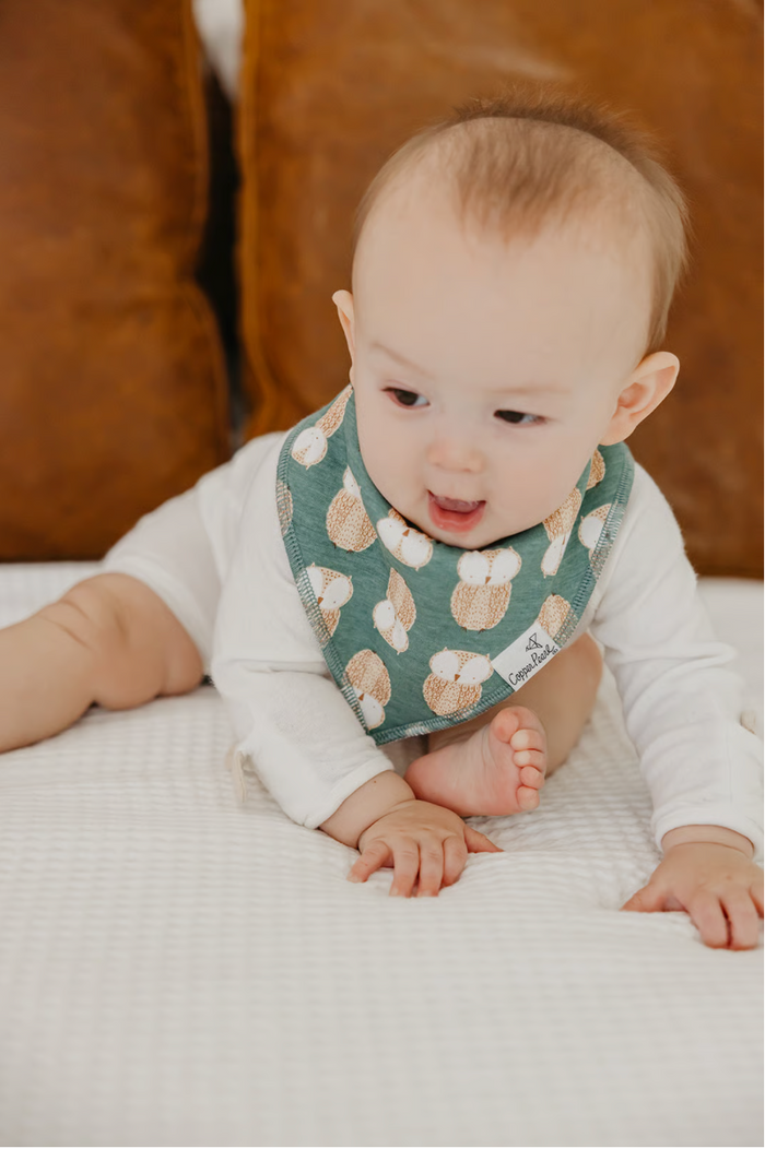 CP Bandana Bib Boy Ivy