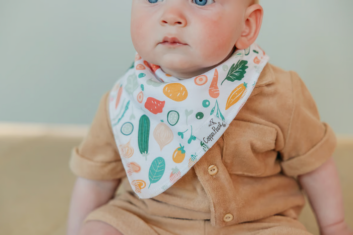 CP Bandana Bib Boy Veggies