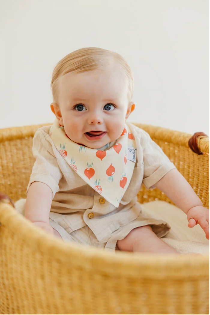 CP Bandana Bib Boy Veggies