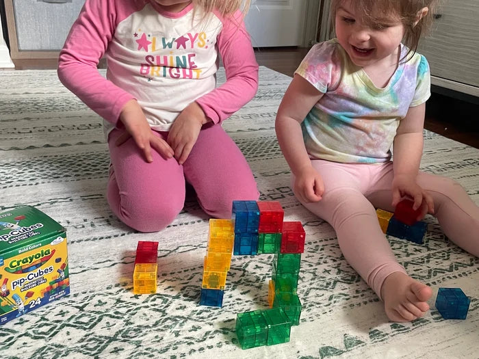 Crayola Bold PIP Magnetic Cubes 24pc