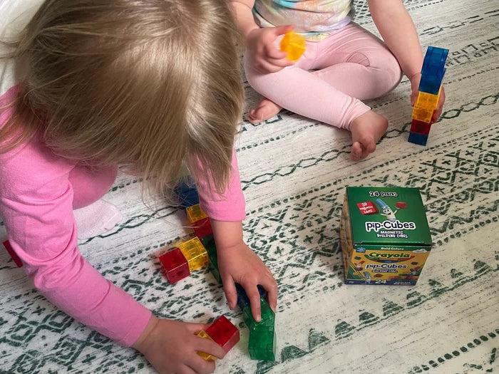 Crayola Bold PIP Magnetic Cubes 24pc