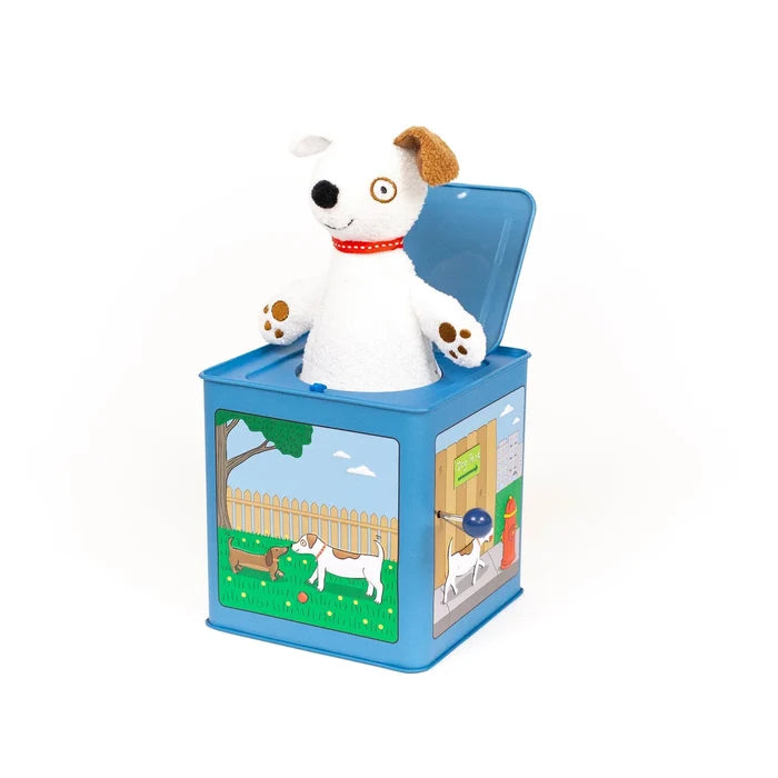 Dog Jack in the Box