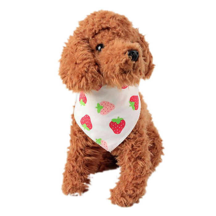 Dog Saliva Bandana