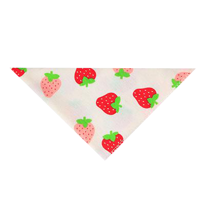 Dog Saliva Bandana