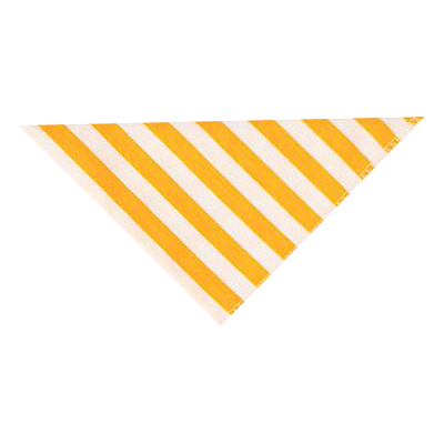 Dog Saliva Bandana