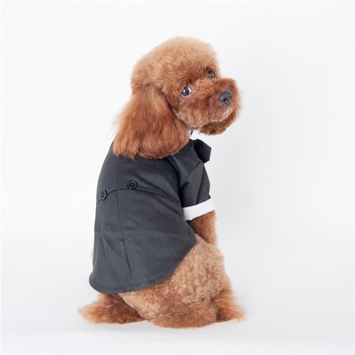 Dog Tuxedo