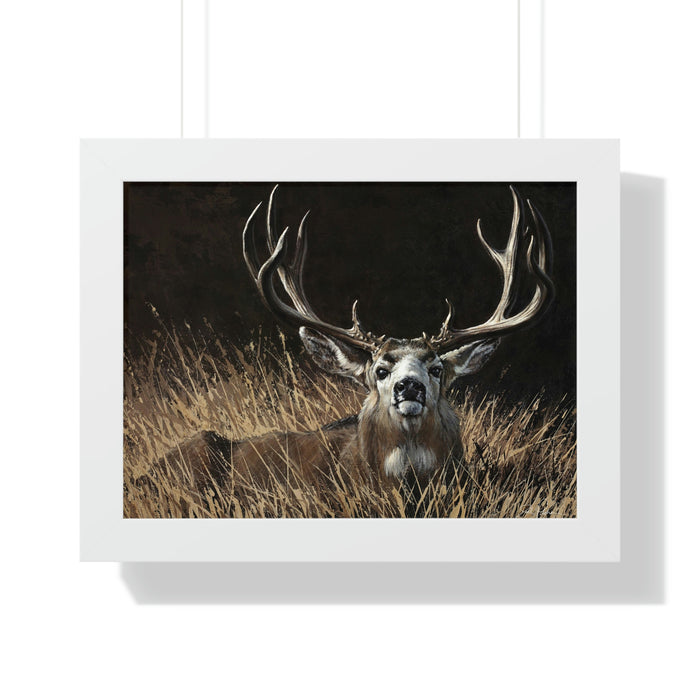 16″ x 12″ / White