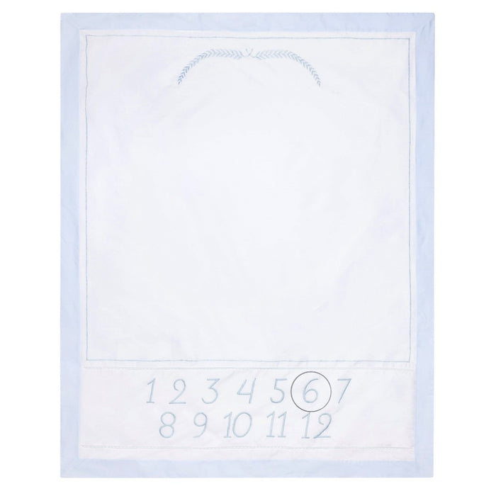 Feltman Monthly Milestone Blanket Blue