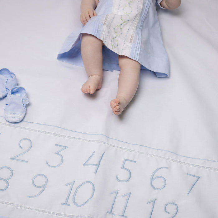 Feltman Monthly Milestone Blanket Blue