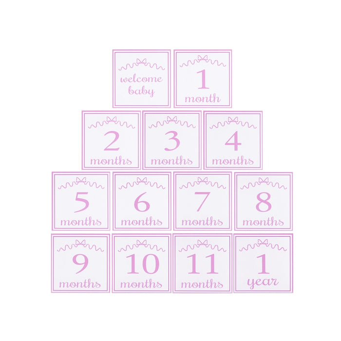 Feltman Monthly Milestone Cards Pink